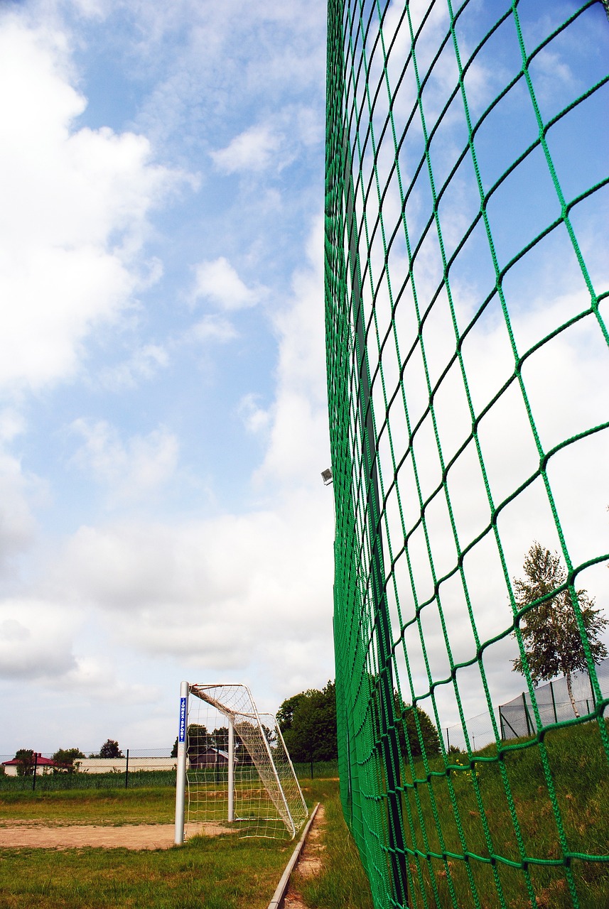 的成功诠释 的成功诠释