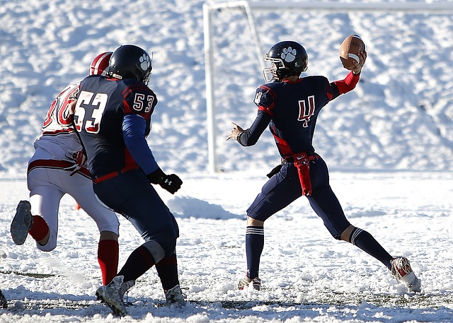 羽毛球领域 羽毛球领域