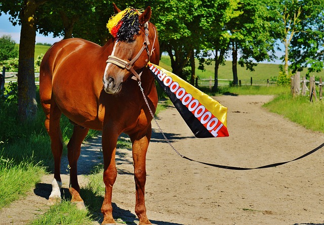 身体的一些 身体的一些