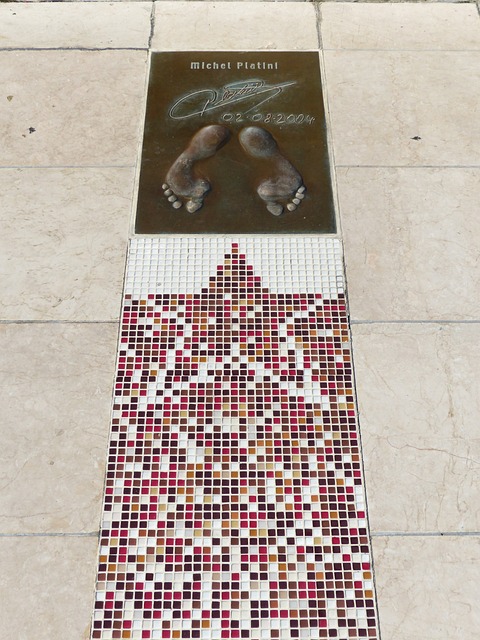 员展现其过 员展现其过