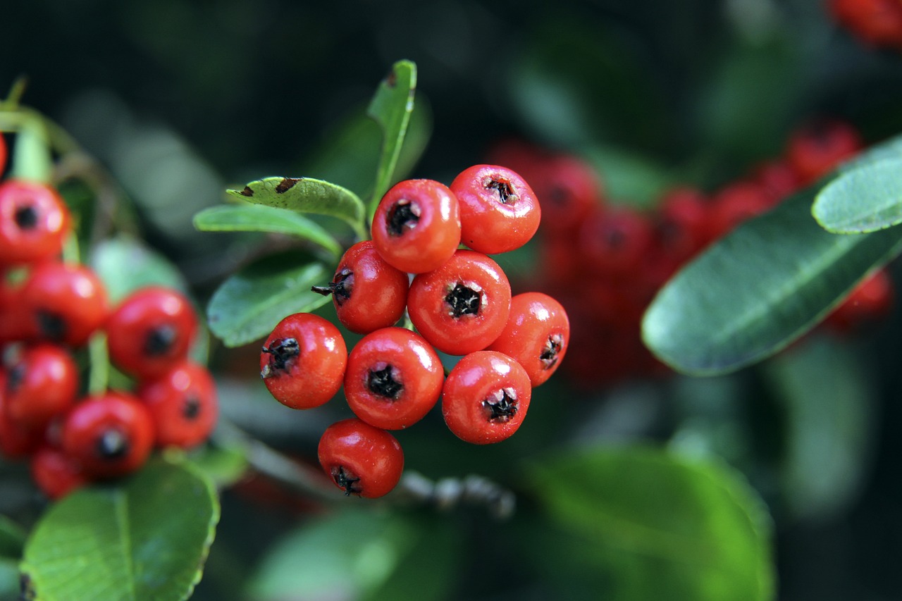 多哈教育城 多哈教育城