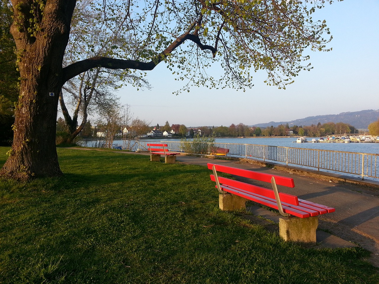 酝酿的故事 酝酿的故事