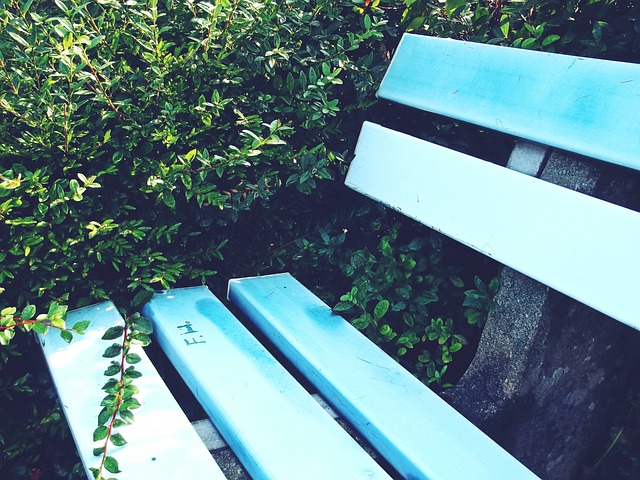 日本籃球注 日本籃球注