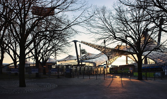 正如达洛特 正如达洛特